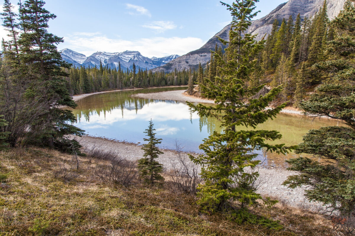 Yamnuska - ©D. Olson