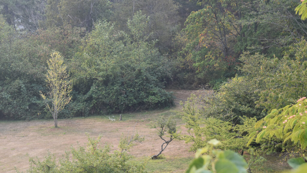 Woman left a gift of property in her Will to preserve the land and protect wildlife.