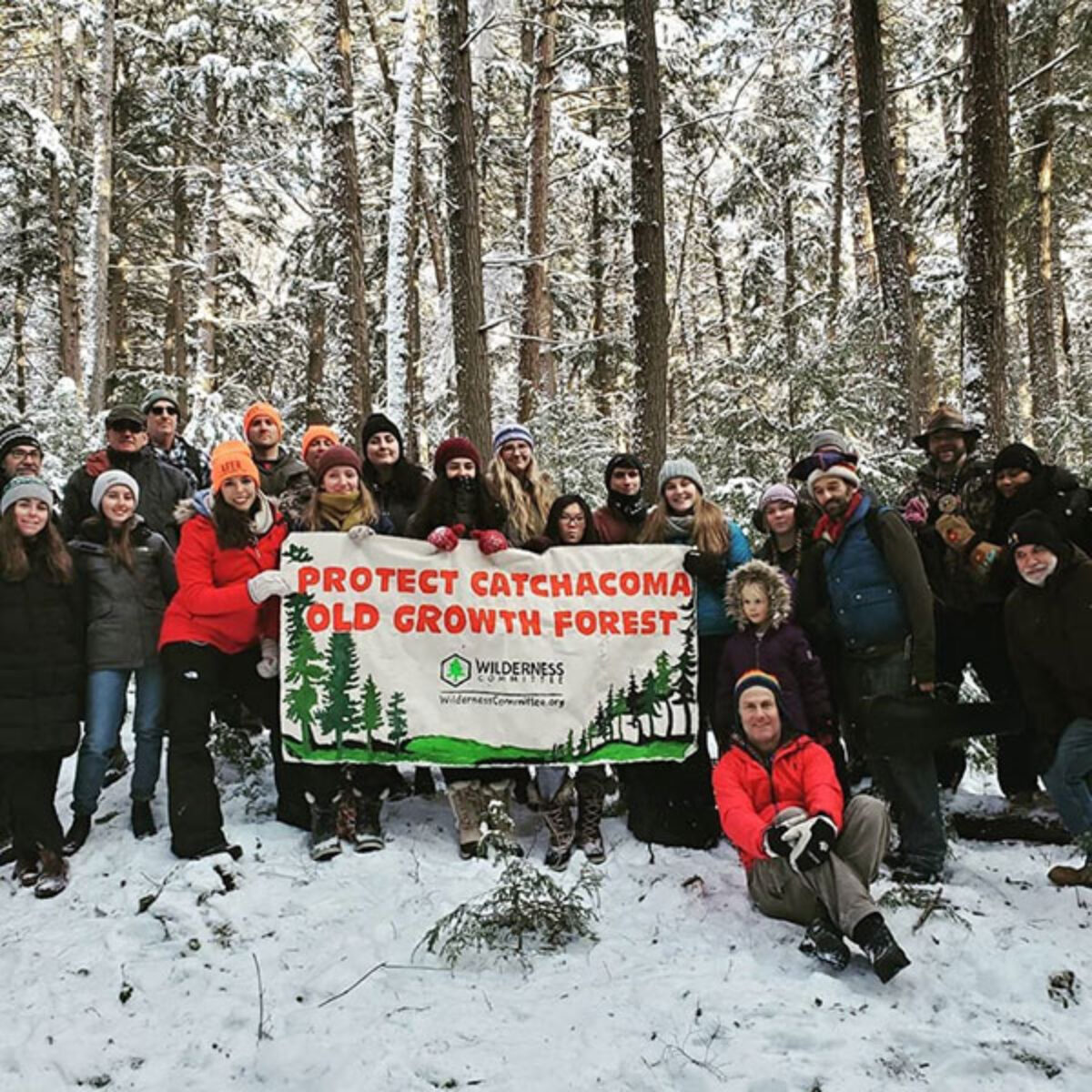 A group of people in a snowy clearing in Catchacoma forest, holding a sign urging old-growth protection.