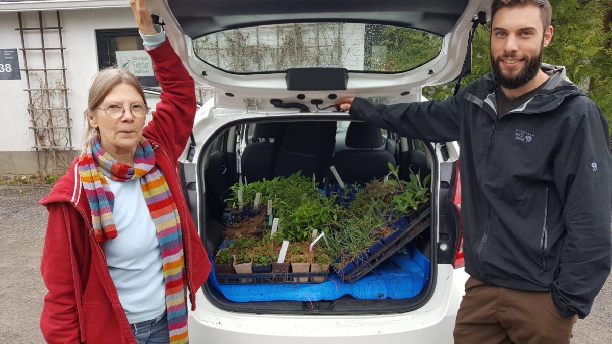 Two people standing next to a car filled with plants for native bees.