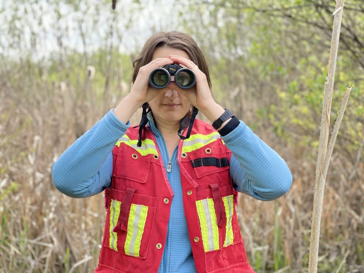 Keeping an eye on the species at risk