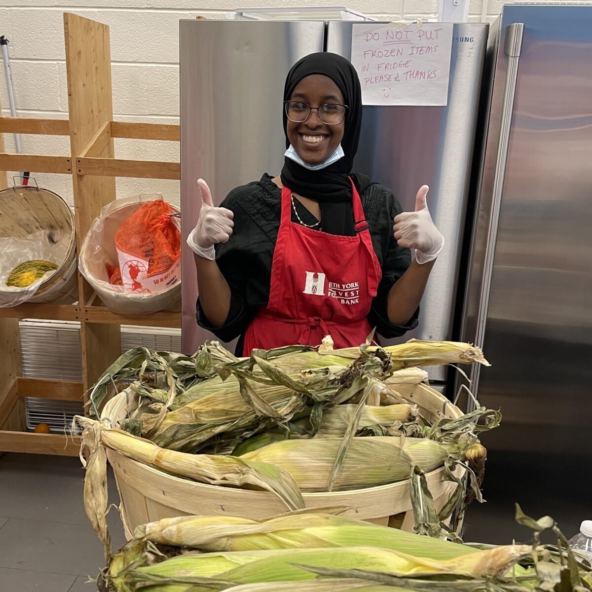 North York Harvest Food Bank staff distributing fresh corn