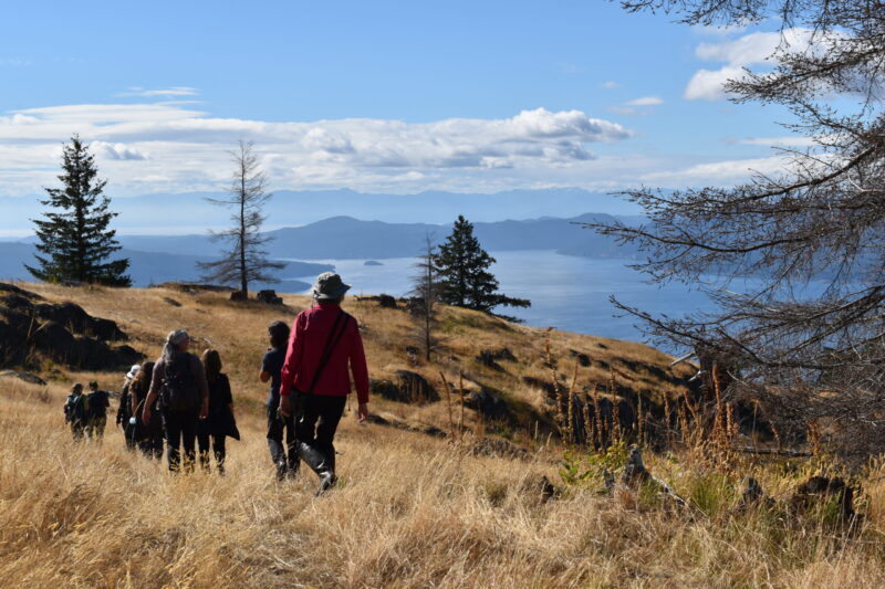 Mt. Tuam Conservation Covenant, Salt Spring Island. Photo by Carla Funk.