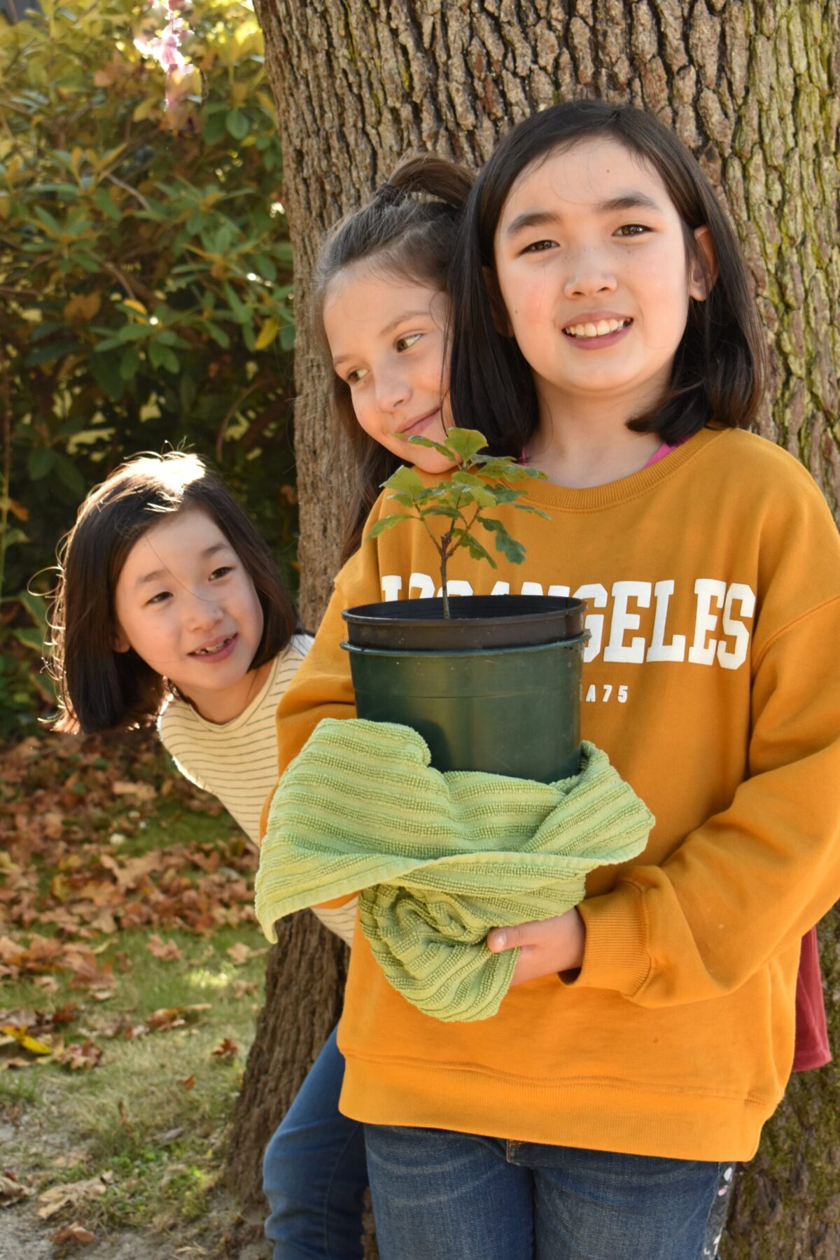 Preserving and protecting islands for the benefit of younger generations.