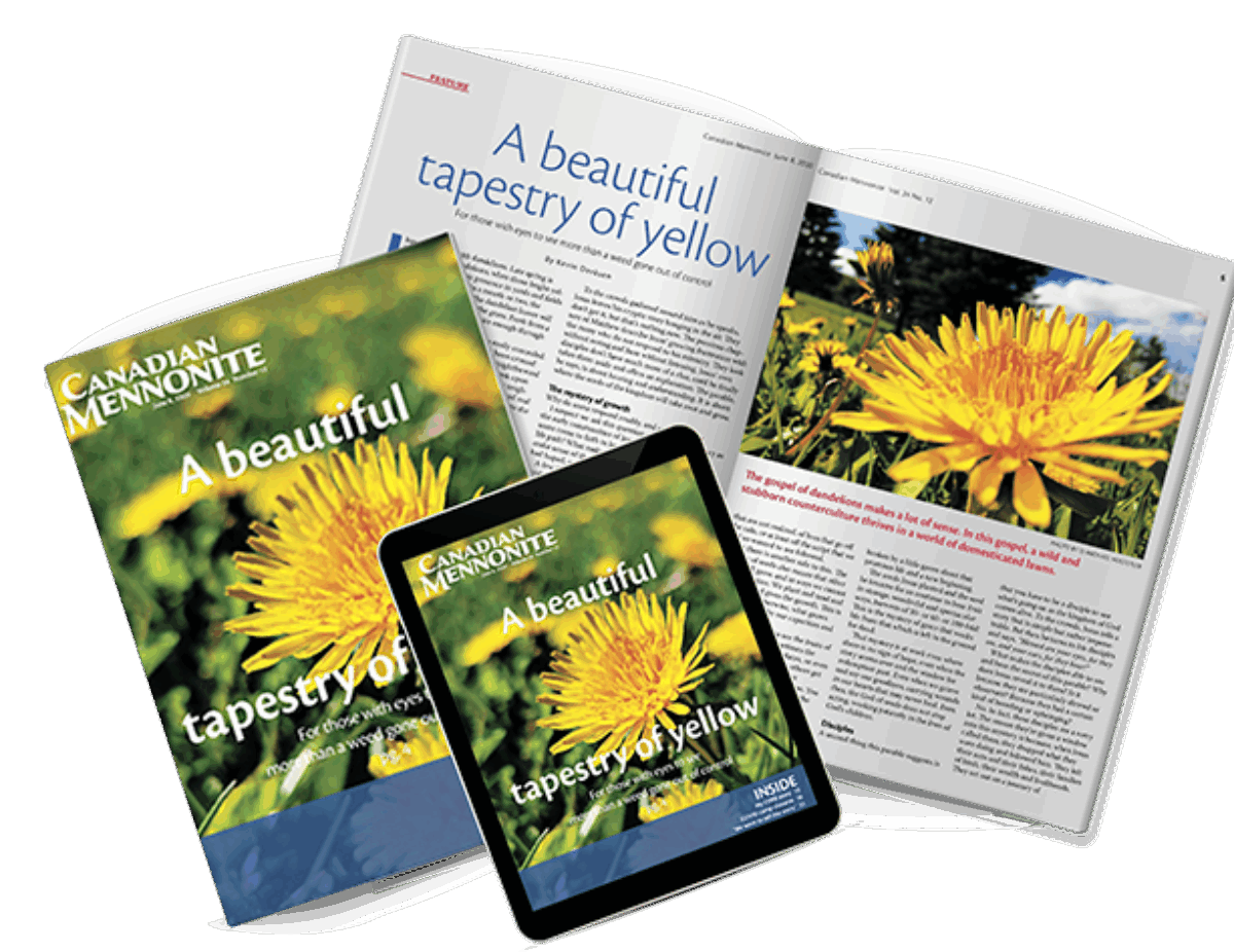 CM covers, in paper and electronic formats