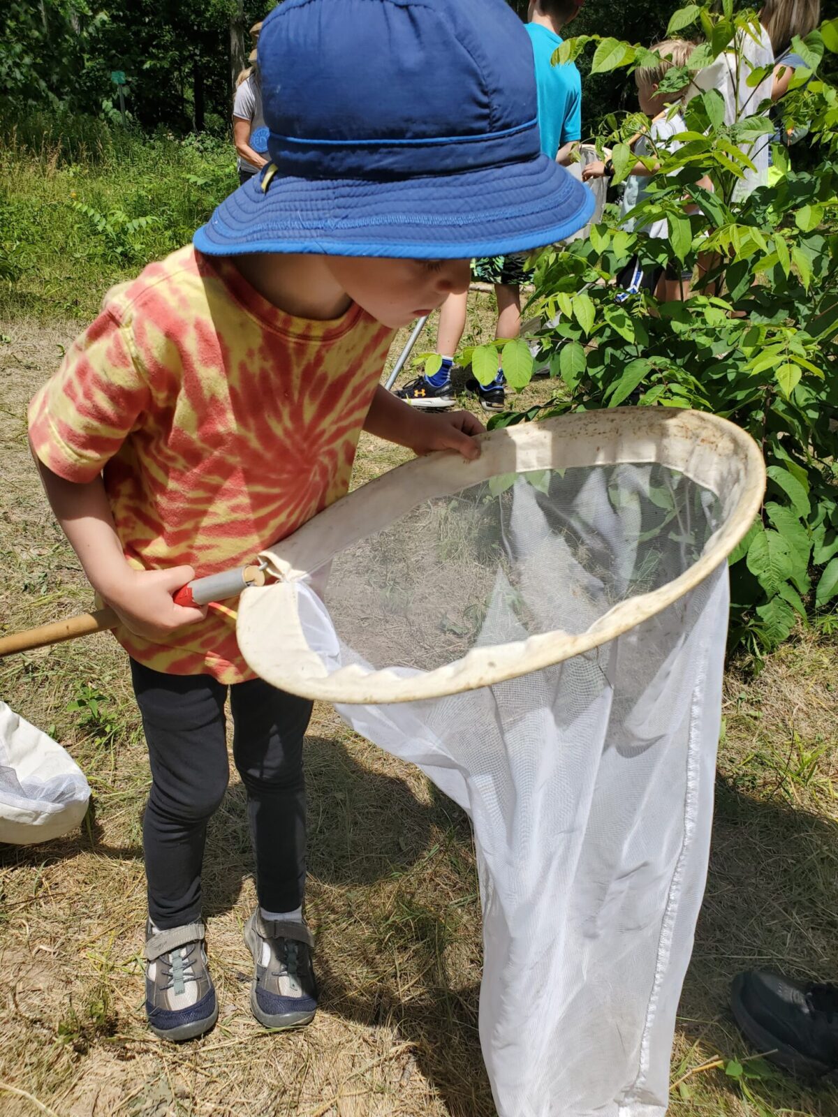 Young child peeking into a butterfly net.