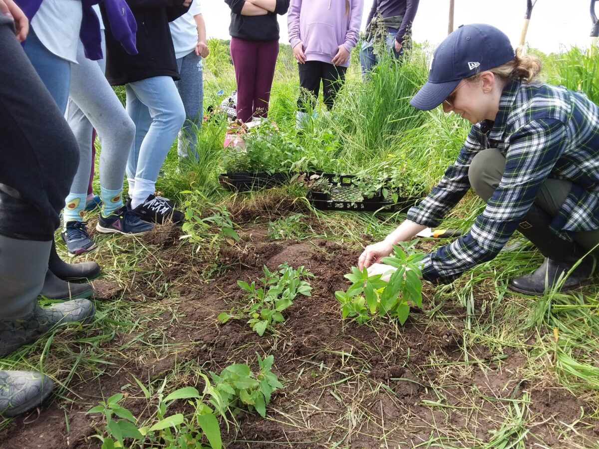 Woman planting with people watching and learning how to plant.