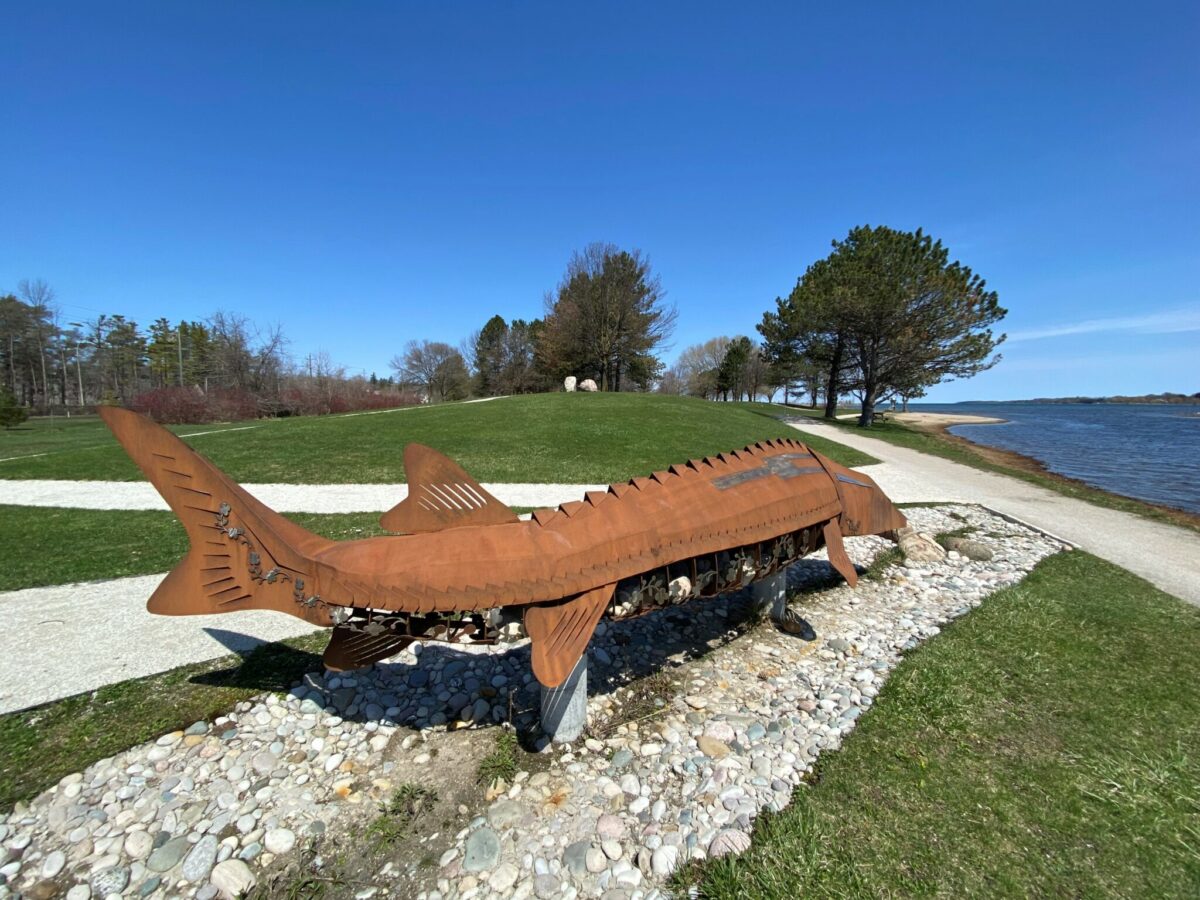 Giche Namewikwedong Reconciliation Garden: Grandmother Sturgeon Sculpture, Kelso Beach Park, Owen Sound