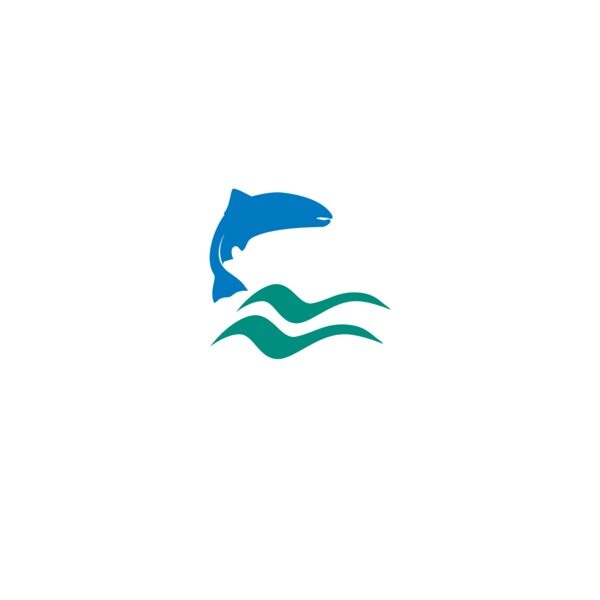 a blue salmon silouette leaps above two wavy green lines representing water