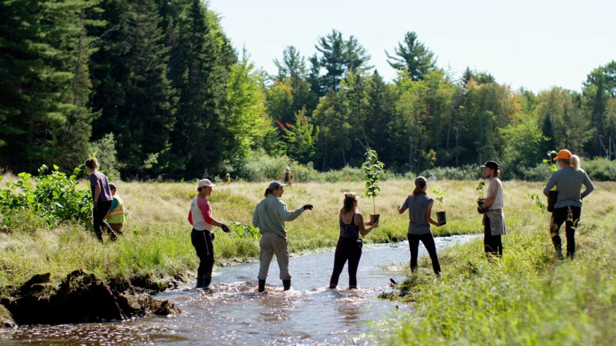 four people stand ankle deep in a stream passing potted tree saplings across