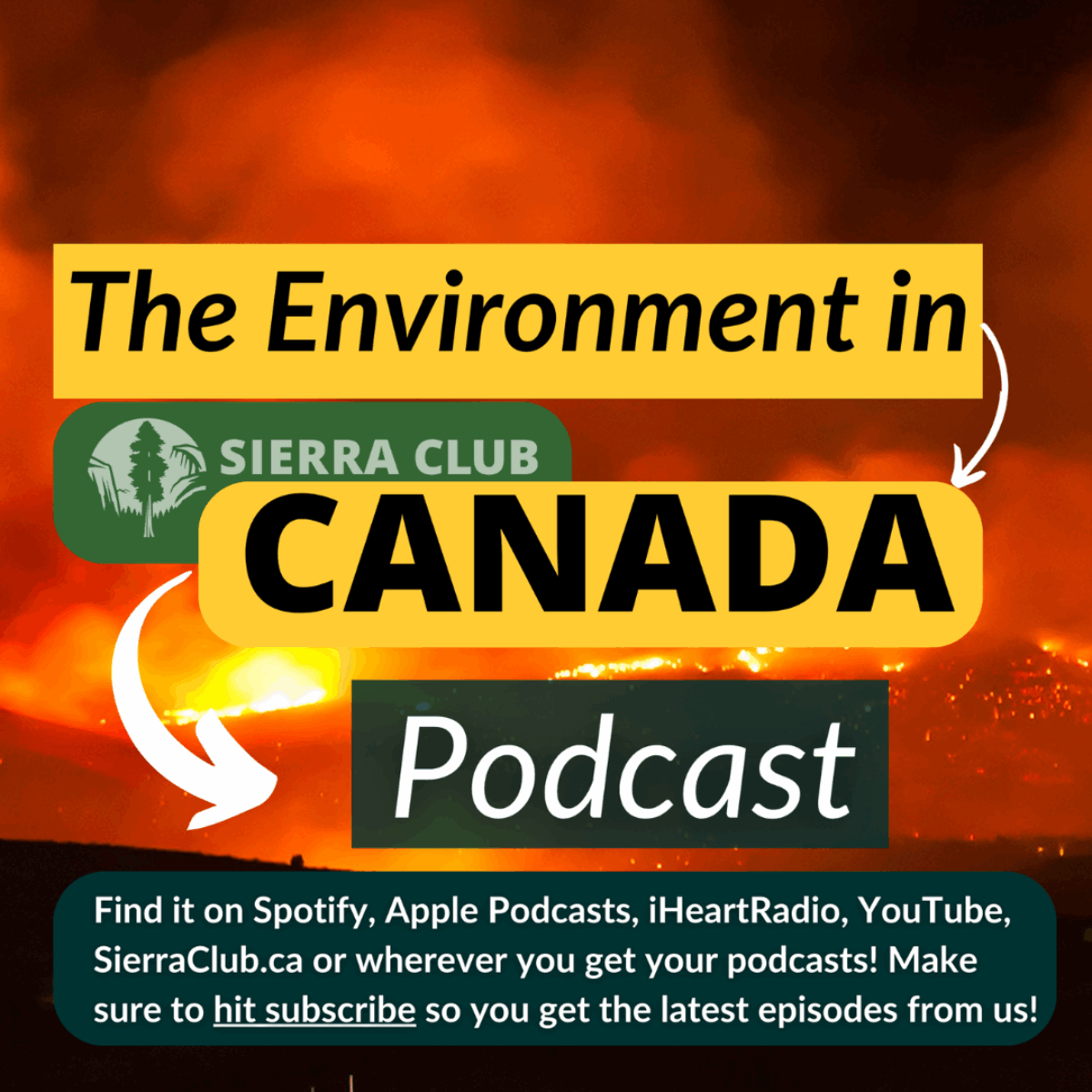 Sierra Club Canada's The Environment in Canada Podcast is available wherever you get your podcasts