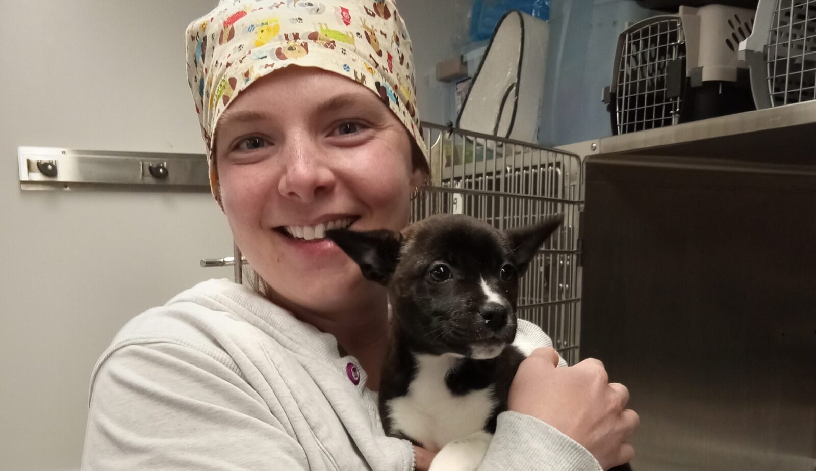 A WHS clinic employee holds a small black dog